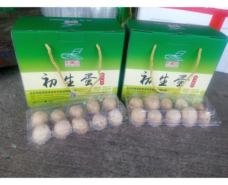 新富民初生蛋-源于天然 滋補(bǔ)有道。